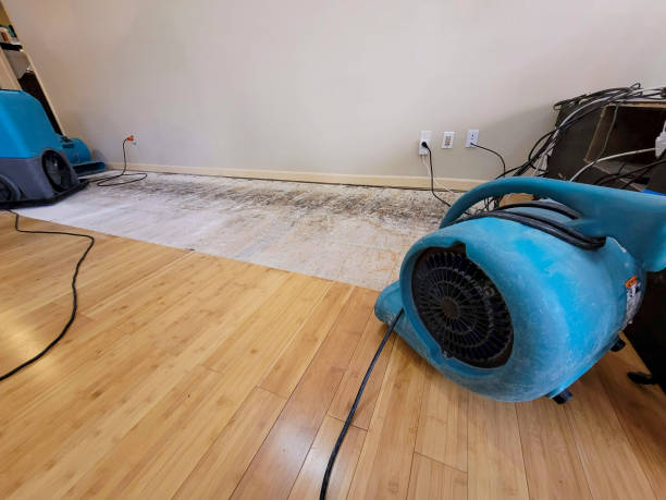 Professional Sewage Cleanup technician working in Dakota, MN